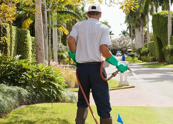 About Avilla MO Pest Control